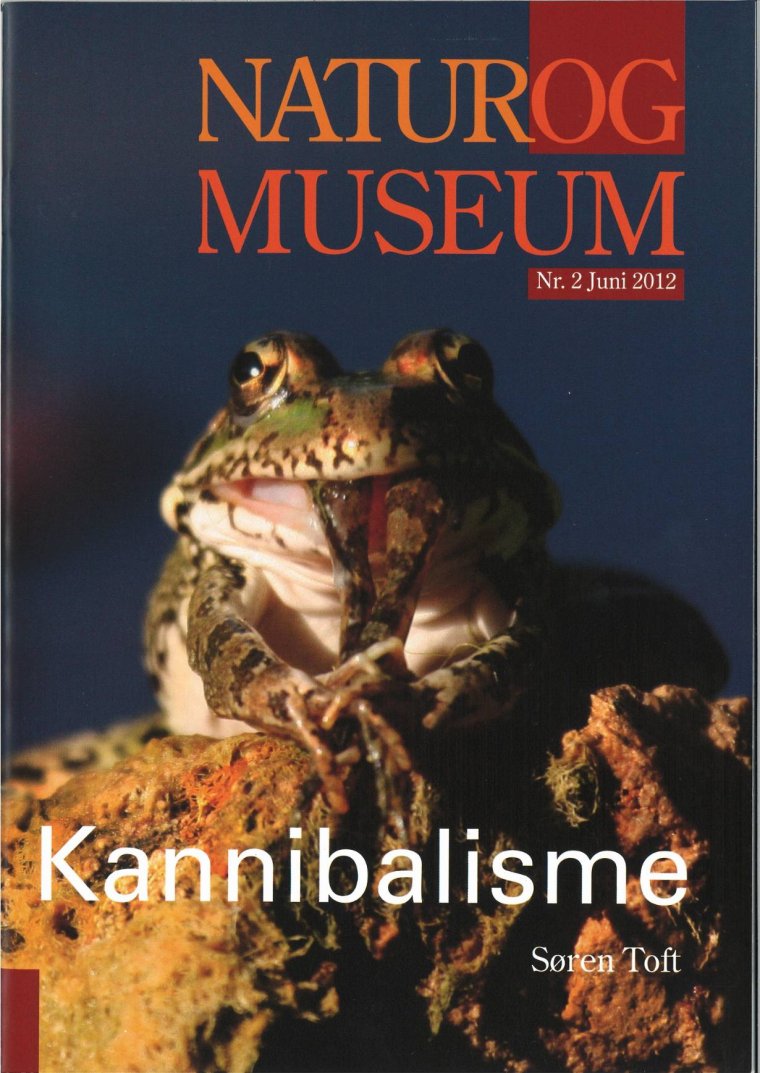 Kannibalisme